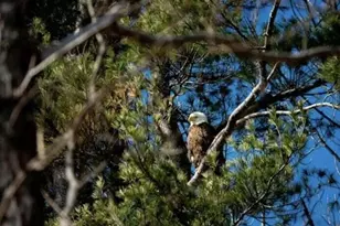 3 Alexander Reed Rd, Richmond, ME 04357 - Photo 73