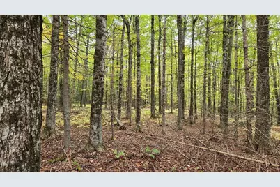 4 Cousineaus Tory Hill Heights, Phillips, ME 04966 - Photo 41