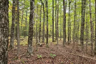 4 Cousineaus Tory Hill Heights, Phillips, ME 04966 - Photo 41