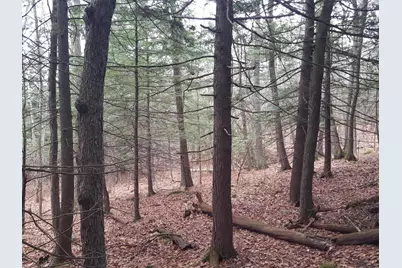 53 Johnson Road, Windham, ME 04062 - Photo 7