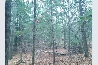 53 Johnson Road, Windham, ME 04062 - Photo 5