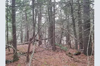 53 Johnson Road, Windham, ME 04062 - Photo 23