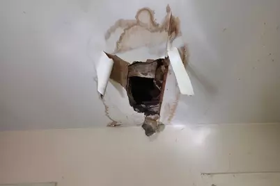 7 Forest Avenue, Orono, ME 04473 - Photo 37