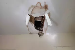 7 Forest Ave, Orono, ME 04473 - Photo 37