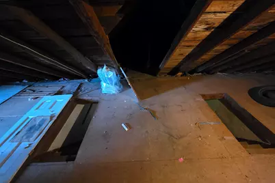 7 Forest Avenue, Orono, ME 04473 - Photo 107