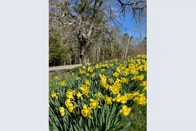 47 River Road, Edmunds Twp, ME 04628 - Photo 5