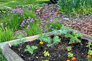 47 River Rd, Edmunds Twp, ME 04628 - Photo 23