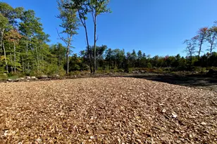 60 Chapman Rd, Harrison, ME 04040 - Photo 45