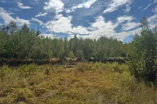 35 Gravy Ln, Bradford, ME 04410 - Photo 3