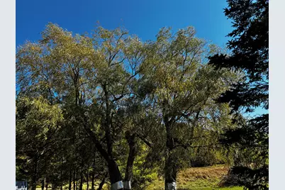 113 Wardwell Point Road, Penobscot, ME 04476 - Photo 47