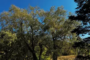 113 Wardwell Point Rd, Penobscot, ME 04476 - Photo 47