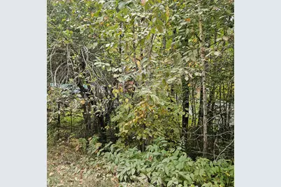 206 Morrison Farm Road, Mariaville, ME 04605 - Photo 23