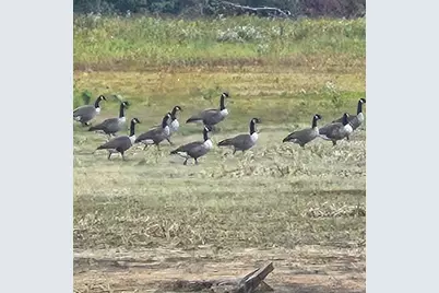 206 Morrison Farm Road, Mariaville, ME 04605 - Photo 11