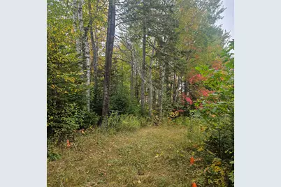 206 Morrison Farm Road, Mariaville, ME 04605 - Photo 3