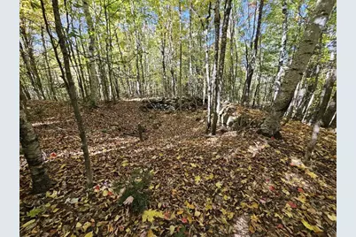 Tbd Temple Road, Farmington, ME 04938 - Photo 15
