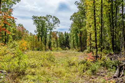 165 Red School House Road, Newburgh, ME 04444 - Photo 61