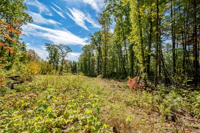 165 Red School House Road, Newburgh, ME 04444 - Photo 63