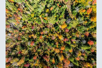 Tbd 22Acre US Rt One, Waite, ME 04492 - Photo 3