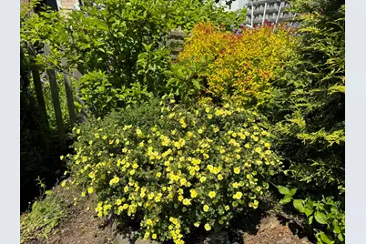 23 Washington Street, Lubec, ME 04652 - Photo 35