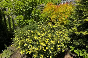 23 Washington St, Lubec, ME 04652 - Photo 35