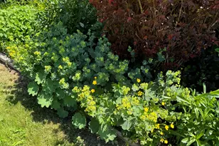 23 Washington St, Lubec, ME 04652 - Photo 33