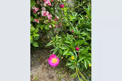 23 Washington Street, Lubec, ME 04652 - Photo 37