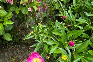 23 Washington St, Lubec, ME 04652 - Photo 37