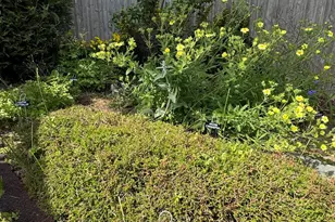 23 Washington St, Lubec, ME 04652 - Photo 41