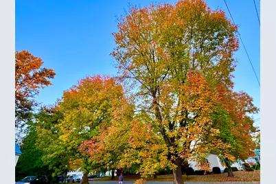 458 Birch Street, Bangor, ME 04401 - Photo 3