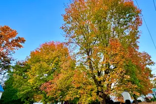 458 Birch St, Bangor, ME 04401 - Photo 3