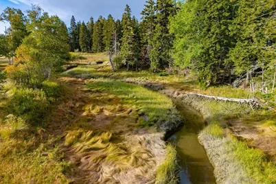 792 Tremont Road, Tremont, ME 04674 - Photo 13