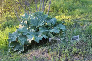 1 East Side Rd, Addison, ME 04606 - Photo 23