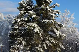 1 East Side Rd, Addison, ME 04606 - Photo 29