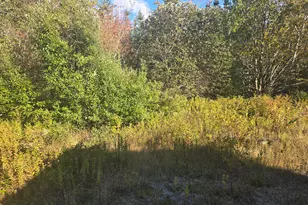 92 Wilcox Rd, Trescott Twp, ME 04652 - Photo 17