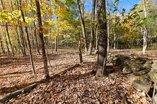 23 Cummings Hill Rd, Temple, ME 04984 - Photo 85