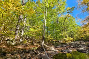 23 Cummings Hill Rd, Temple, ME 04984 - Photo 65