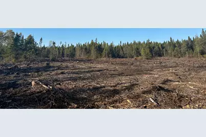 Map 06 Lots #16,16-2,16-3 Cutler Road, Cutler, ME 04626 - Photo 21