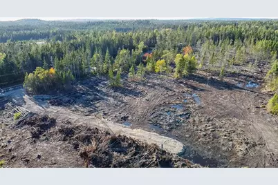 Map 06 Lots #16,16-2,16-3 Cutler Road, Cutler, ME 04626 - Photo 7