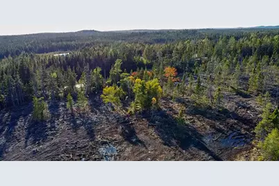Map 06 Lots #16,16-2,16-3 Cutler Road, Cutler, ME 04626 - Photo 13