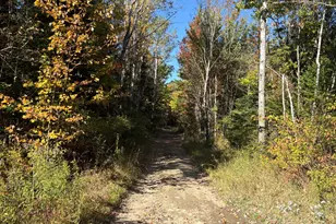 Map1Lot1 Rutland Rd, Plymouth, ME 04969 - Photo 1