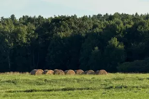 257 Pleasant View Ridge Rd, China, ME 04358 - Photo 59