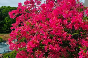 28 Messina Dr, Skowhegan, ME 04976 - Photo 3