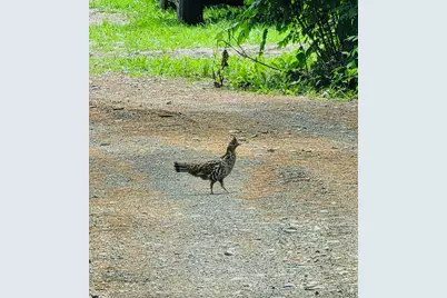 28 Messina Drive, Skowhegan, ME 04976 - Photo 69