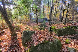 17 Treetop Ln, Jay, ME 04239 - Photo 103