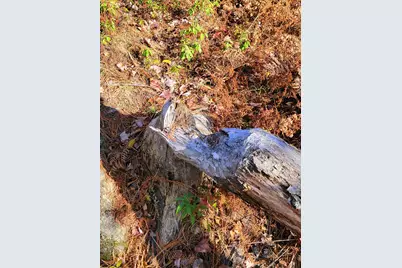 17 Treetop Lane, Jay, ME 04239 - Photo 99