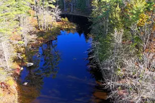 17 Treetop Ln, Jay, ME 04239 - Photo 97