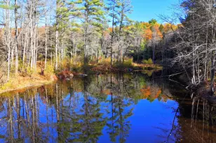 17 Treetop Ln, Jay, ME 04239 - Photo 3