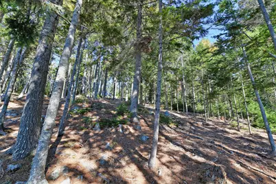 Lot 6 Sunset Road, Brooksville, ME 04617 - Photo 7