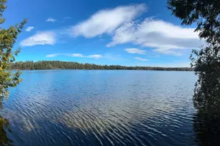 229 Two Lakes Dr Dr, Northfield, ME 04654 - Photo 5