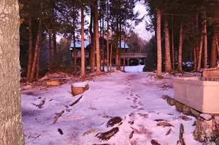 229 Two Lakes Dr Dr, Northfield, ME 04654 - Photo 3